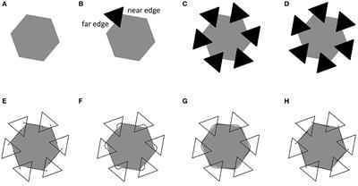 Amodal completion of coincidentally occluded angles: a matter of visual approximation